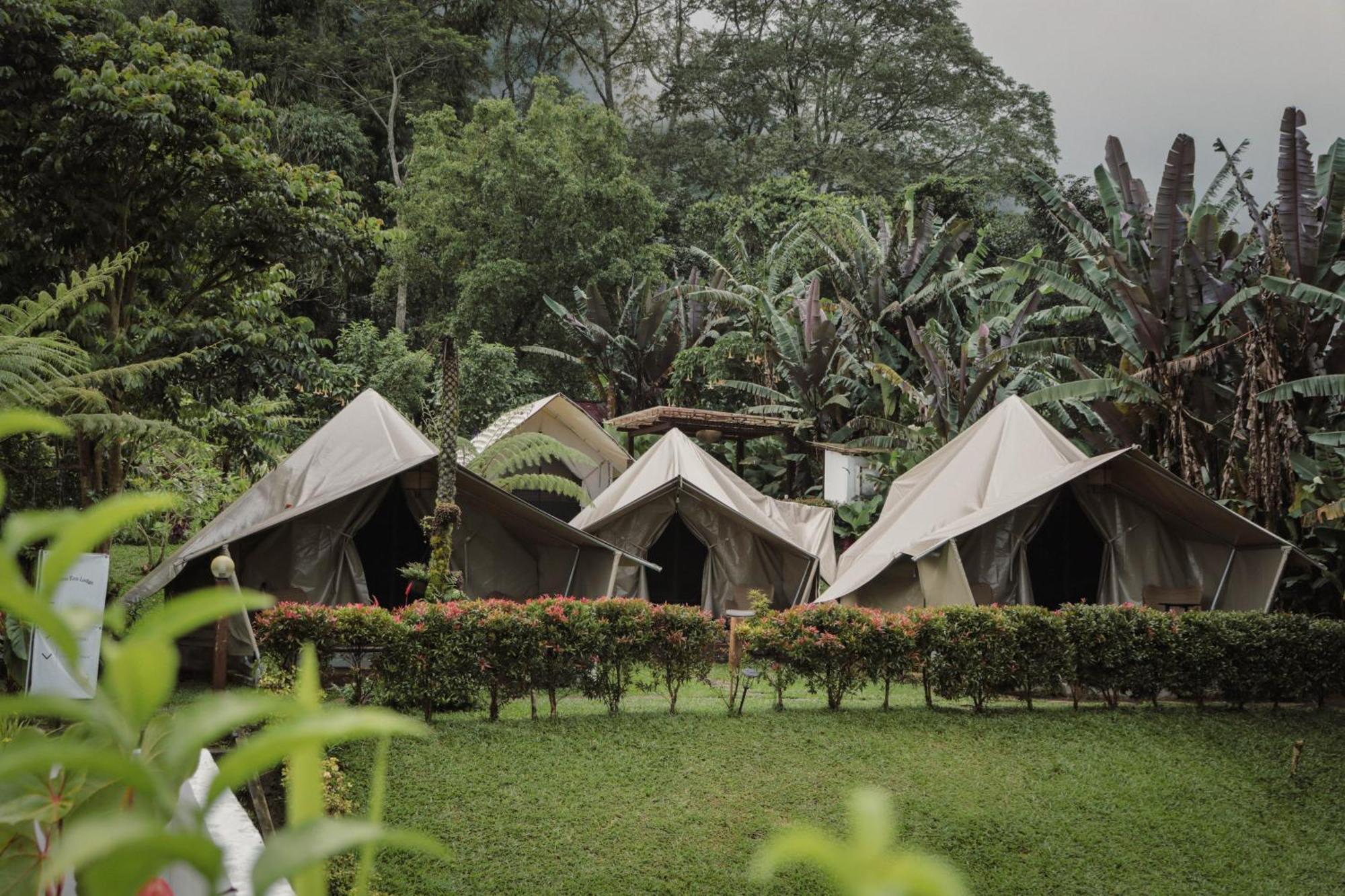 Alamu Eco Lodge Bedugul  Exterior photo