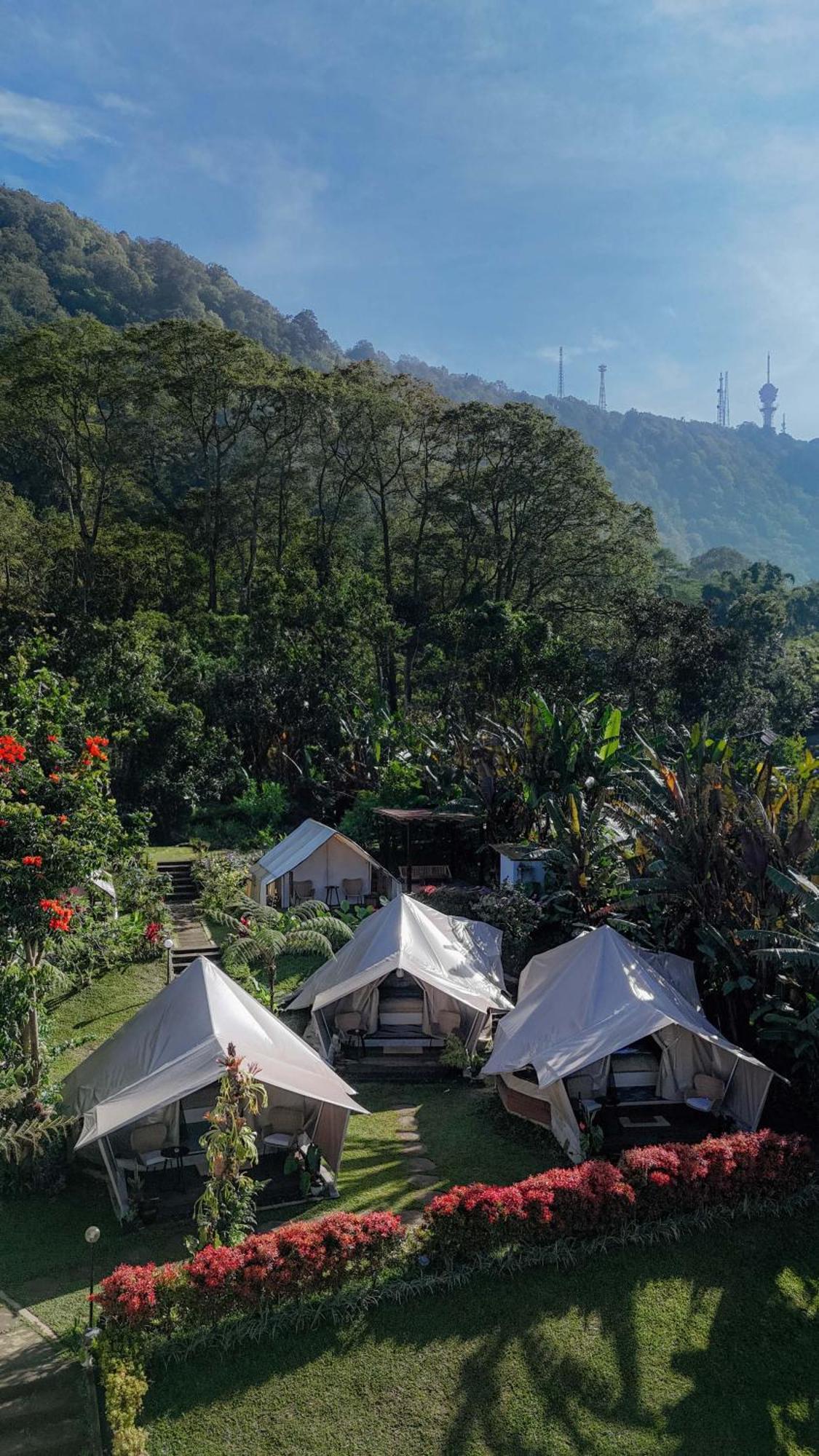 Alamu Eco Lodge Bedugul  Exterior photo