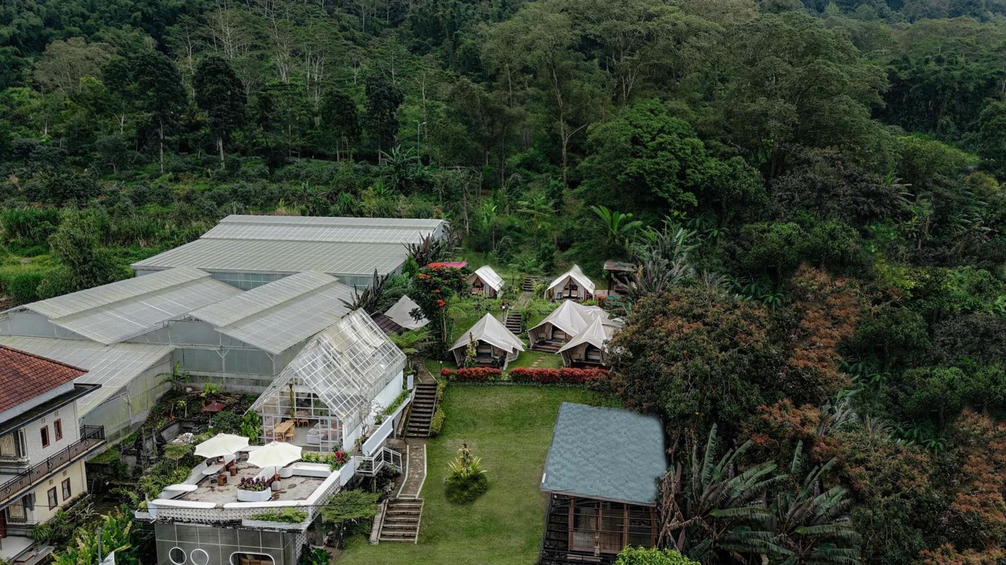 Alamu Eco Lodge Bedugul  Exterior photo