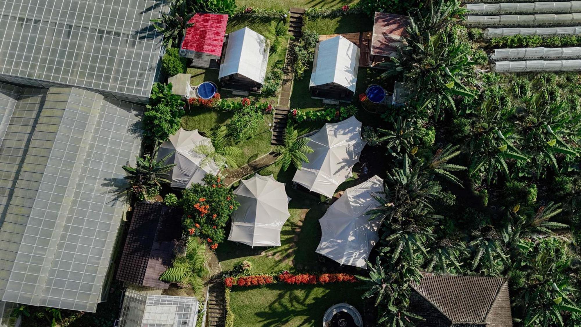 Alamu Eco Lodge Bedugul  Exterior photo