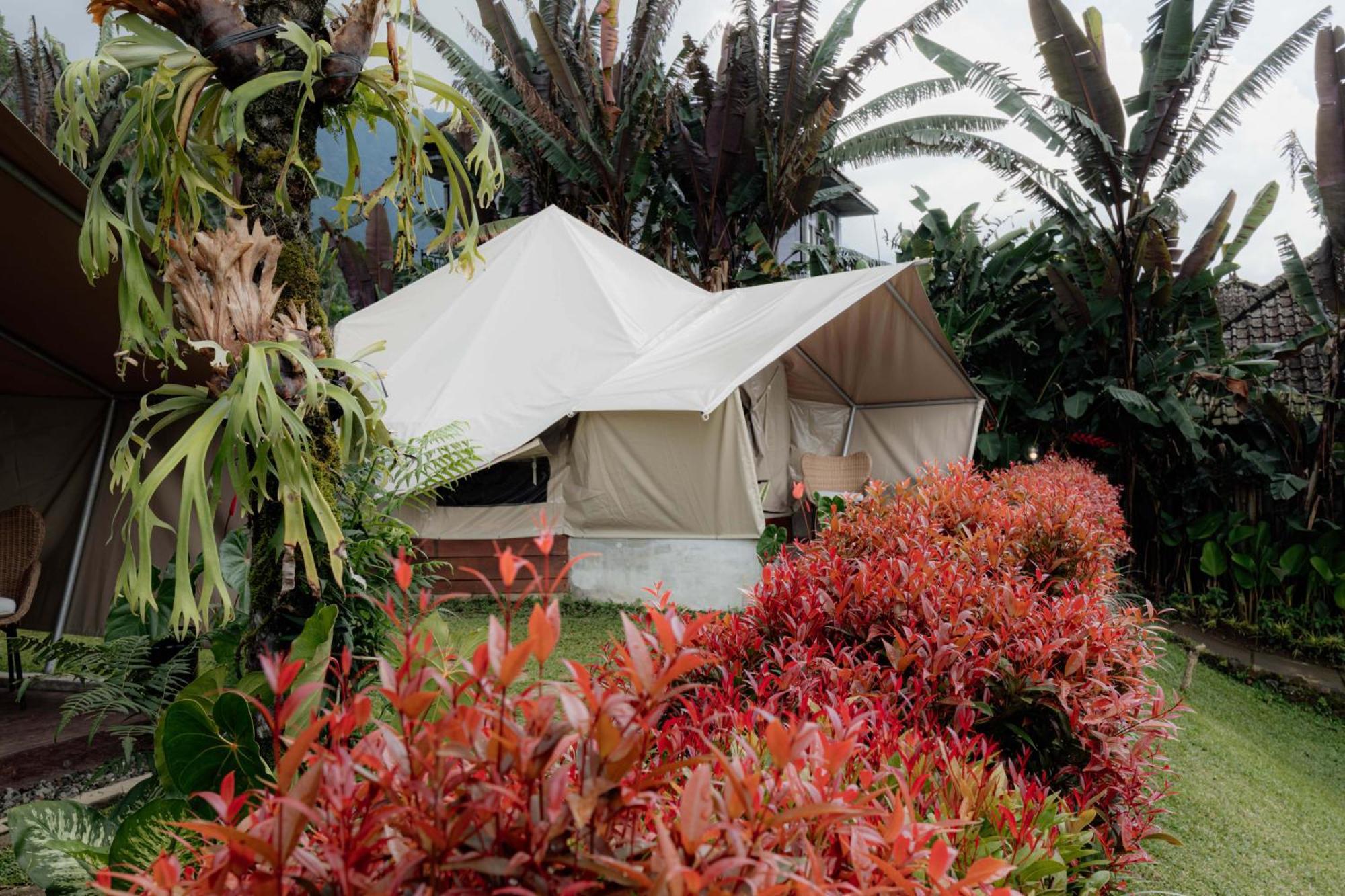 Alamu Eco Lodge Bedugul  Exterior photo
