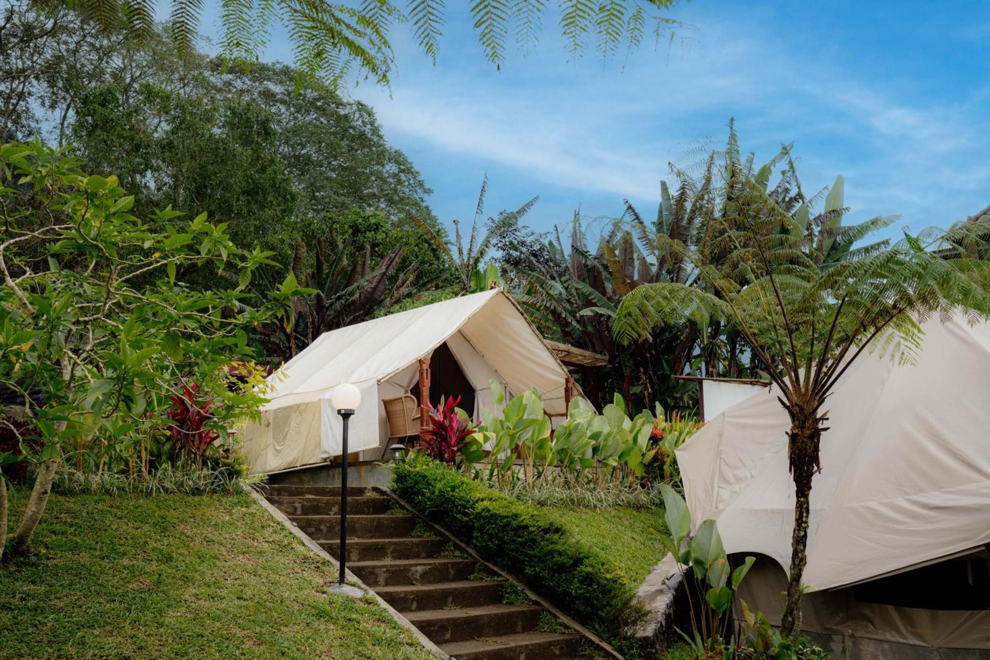 Alamu Eco Lodge Bedugul  Exterior photo